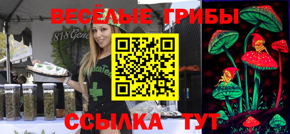 Галлюциногенные грибы GOLDEN TEACHER Кудымкар